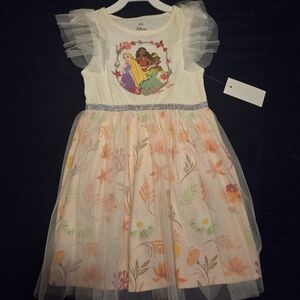Disney Multicolor Princess Dress with Tulle Overlay